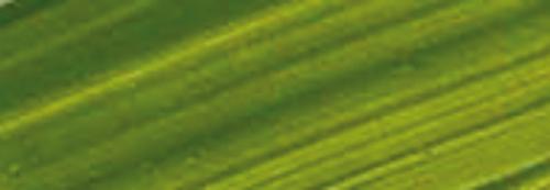 Green Gold