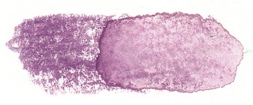 Malva